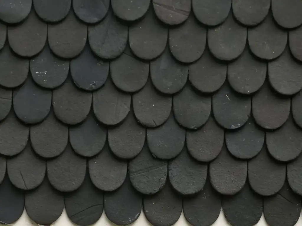 Close-up of dark scalloped roof shingles