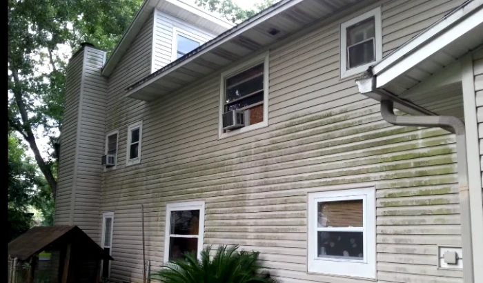 Green algae staining on tan lap siding before cleaning