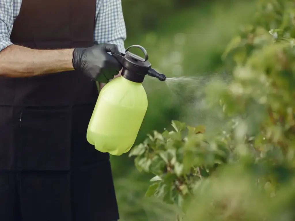 Pump sprayer misting water over garden plants