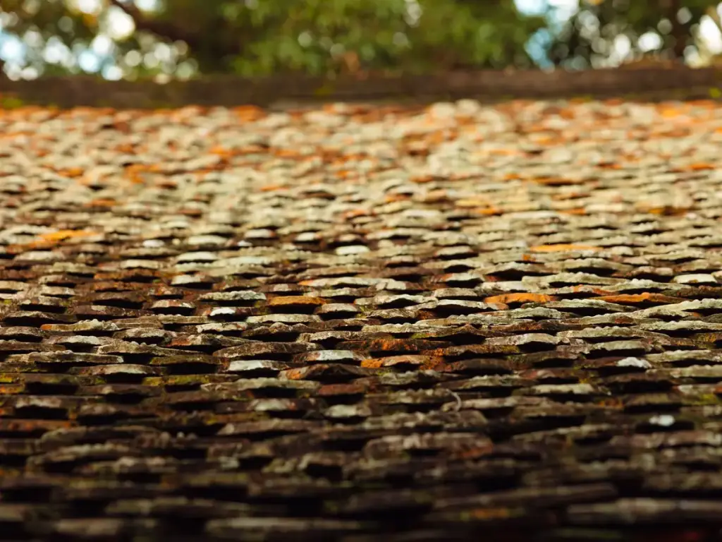 Weathered roof surface with lichen and dark growth