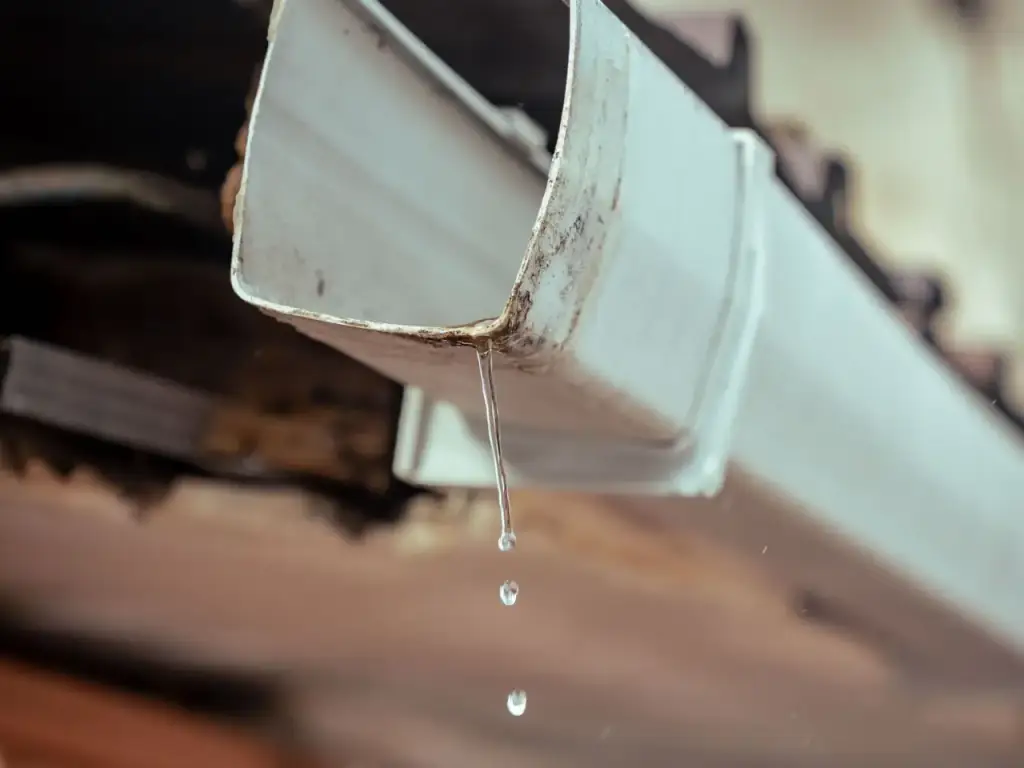 White gutter along a roof edge with water dripping from it